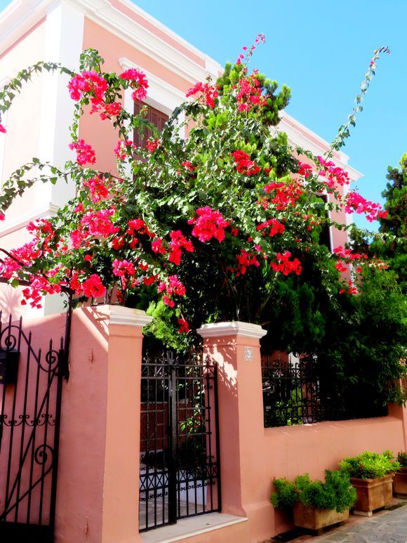 Pink house with bougainvillea