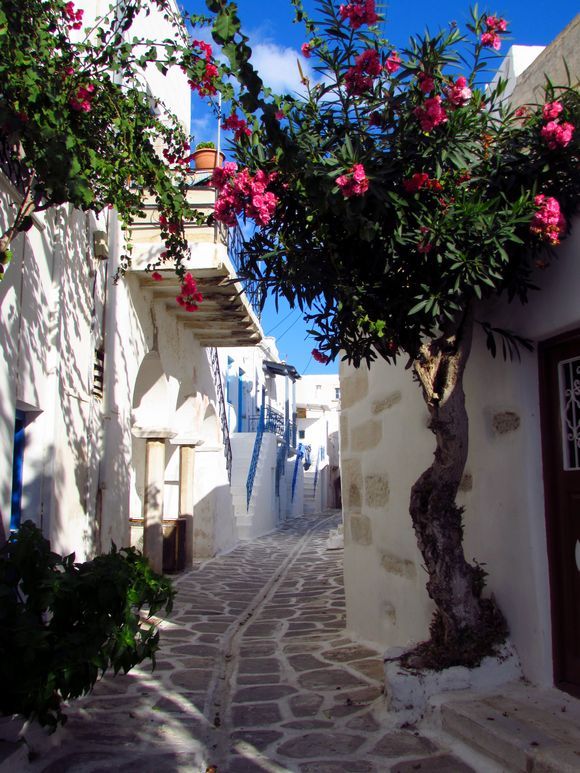 Colorful paved alley, Parikia