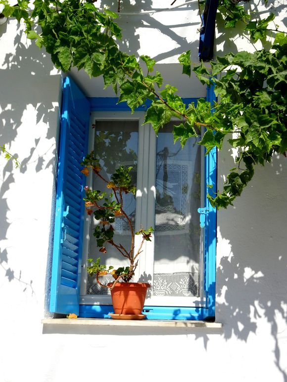 Facade with blue window and pot of flowers, Parikia