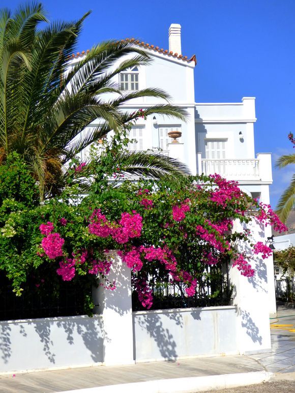 White mansion with pink bougainvillea, Agathopes