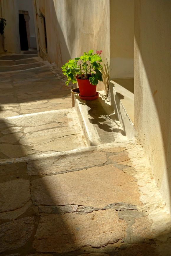 Stepped alley with pot of flowers. Naxos old town