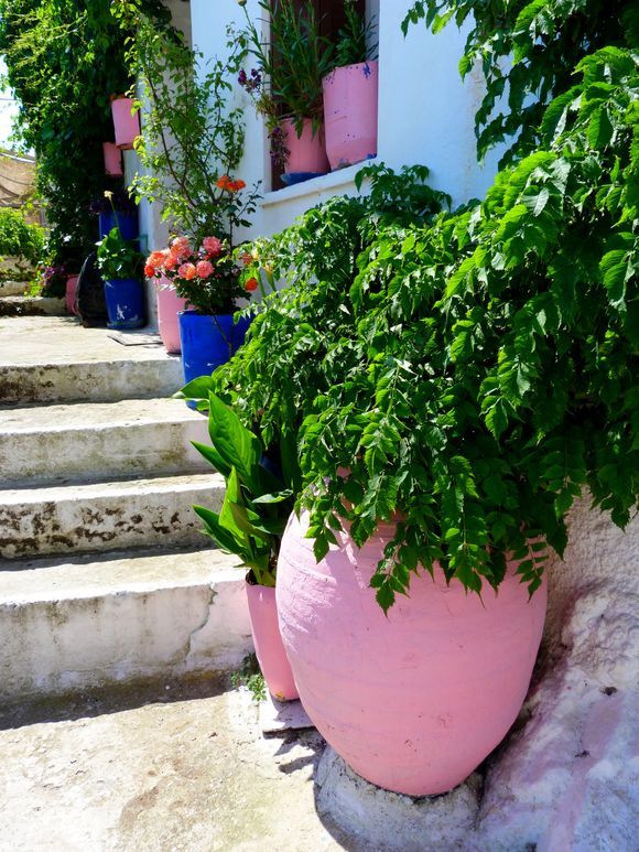 Steps, plants and pots, Apiranthos