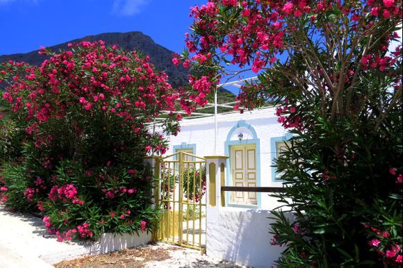 Pretty house with red oleander, Telendos island