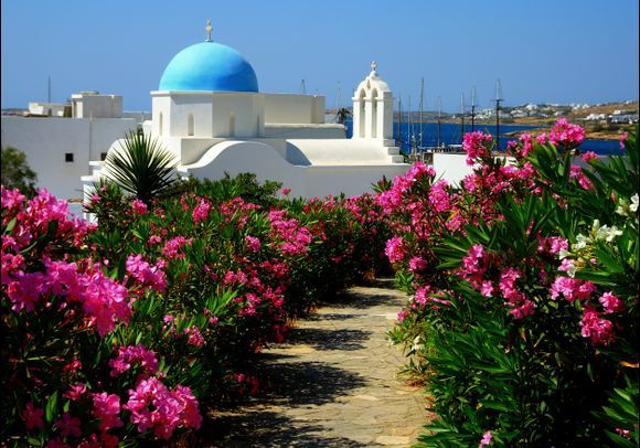 Blue-domed church and alley with pink oleanders, Piso Livadi