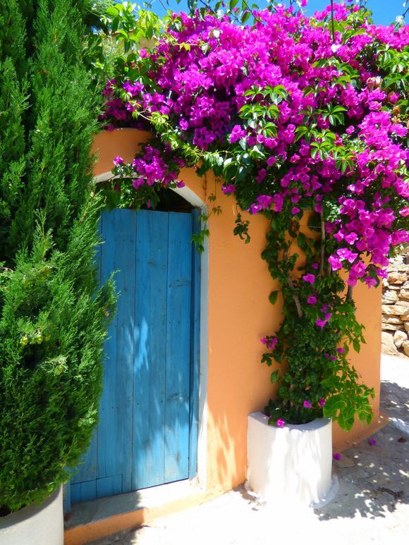Colorful facade with blue wooden gate and bougainvillea