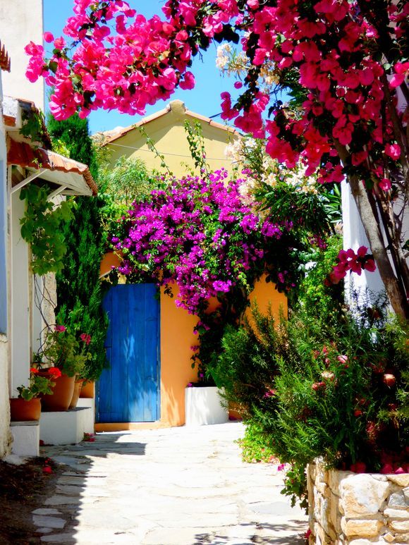 Colorful house, Patitiri, Alonissos island