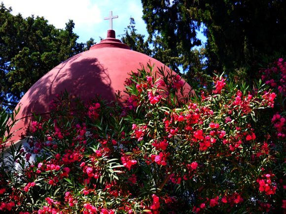 Red cupola and oleander, Kos town