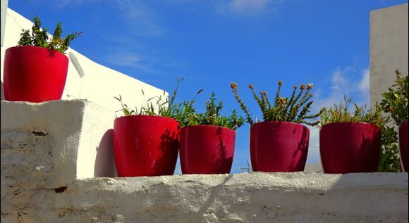 Row of red pots, Apollonia