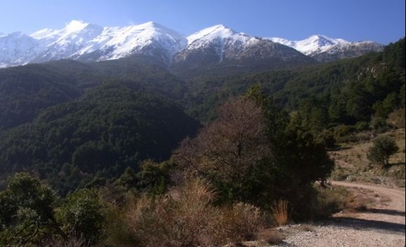 Into Taygetos mountains