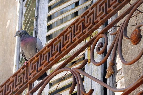 A Birds shelter... a coloufull match..
Astakos town.. west greece