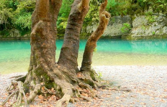 Emerald colours of  Voidomatis river...