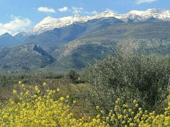 The last snow on Taygetos mountain 
making place for Spring....