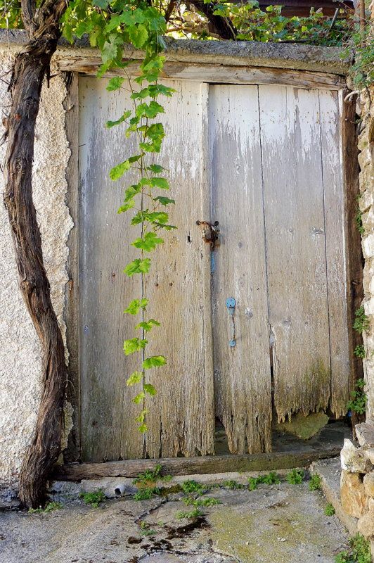 door to you imagination.... in Anavriti