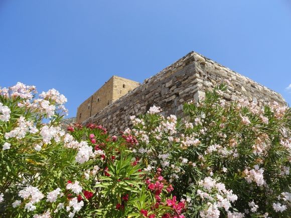 castle and flowers