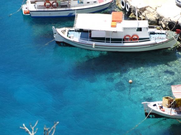 taxi boat on air or water?