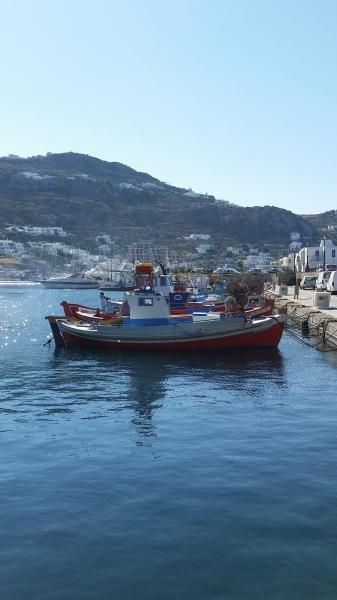 Port of Mykonos, Greece