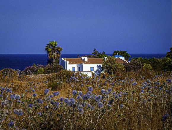 The house of my dreams exists: the sea, the church with the blue dome and the deep blue echinops ritro  field that protects it all inside!