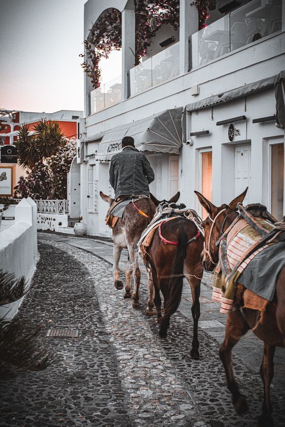6 am: In the 21st century and in the midst of so much luxury, donkey work is still irreplaceable.
(with all the steps in Fira no man would be able to carry heavy loads up and down the bars and restaurants)