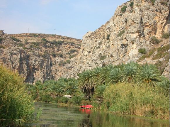 palmforest at preveli beach, where the hippies in the 60\'ies were living -south of crete
