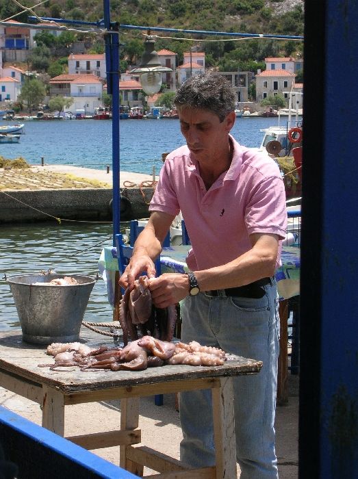 preparing the octopus at Aghia Kyriaki