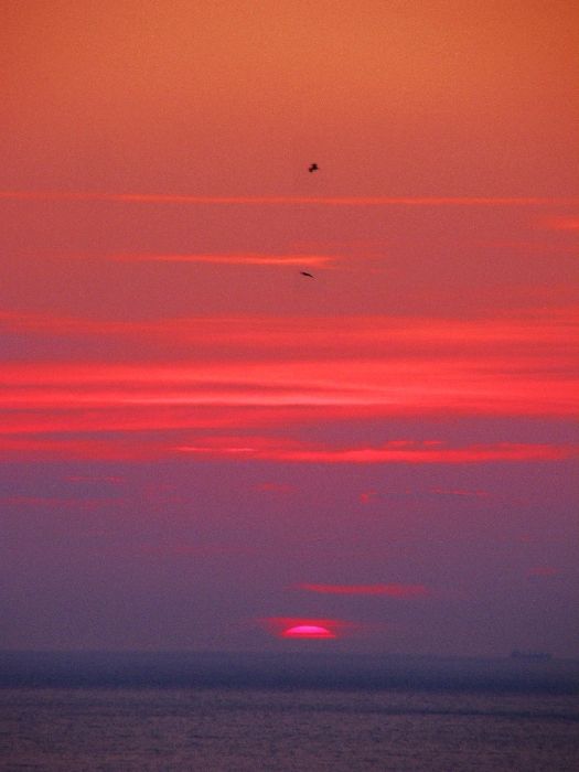 Sun set over molyvos and the birds are going home