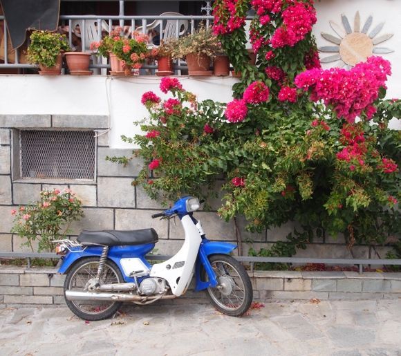 Greek still-life, a motorcycle and flowers.