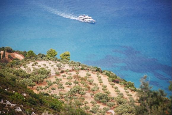 Olive trees and the Ionian Sea