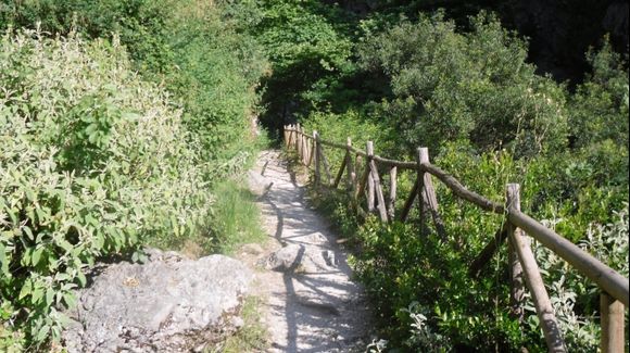 Path to Waterfall