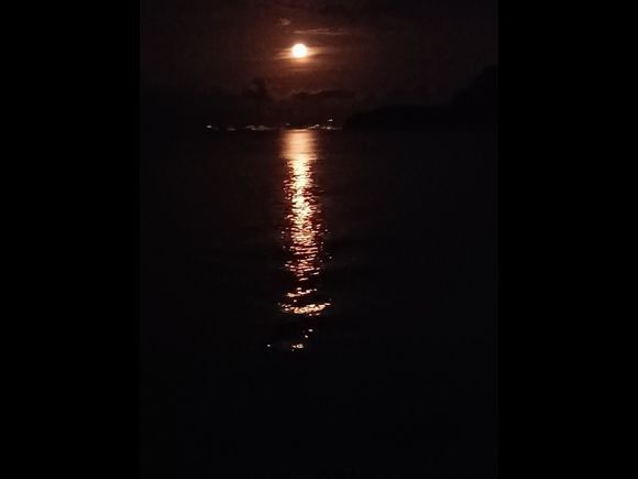 Moon shine over Sidari