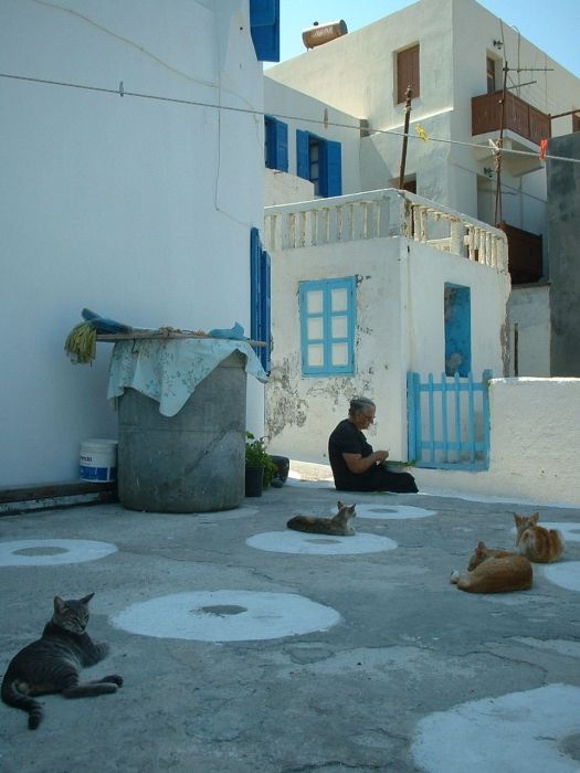 Old woman with cats