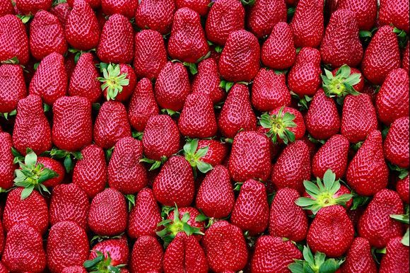 Strawberry Season in Greece!