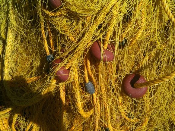 Kythira yellow net