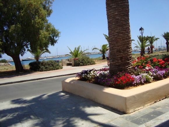 Flowers at the Beach Road in Rethymno
