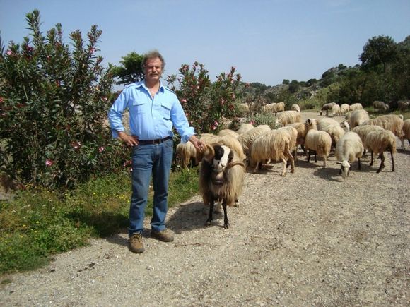 Sheep farmer on the mountings outside of Rethymno