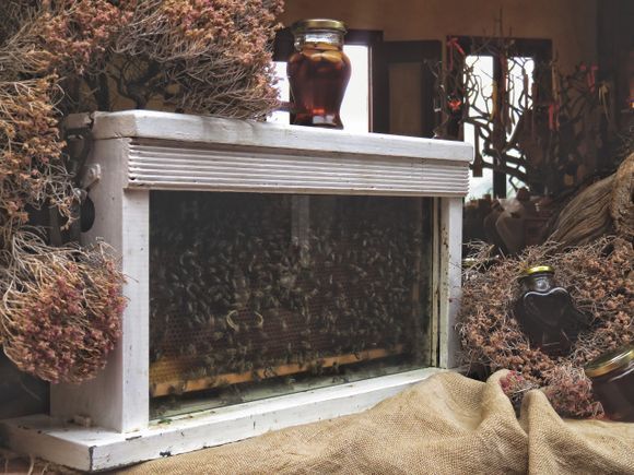 Beekeeper box, and homemade, domestic honey