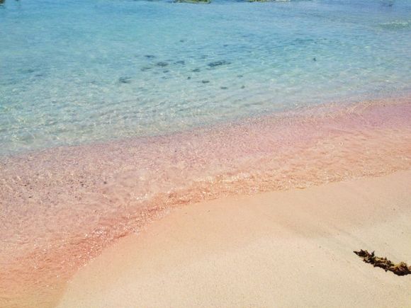 the pink sand
