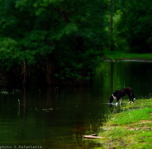 Ziros lake-Epirus