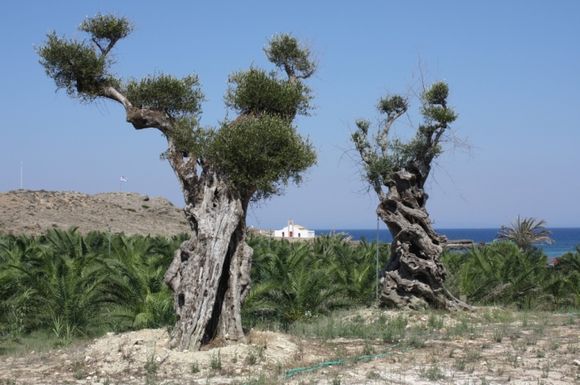 Zakynthos