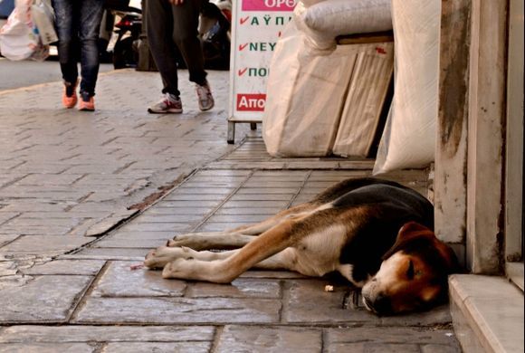 Homeless in Piraeus