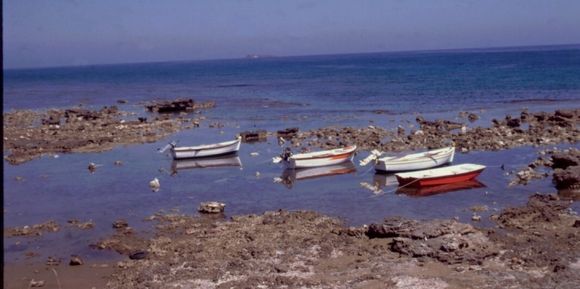 Waiting for the tide