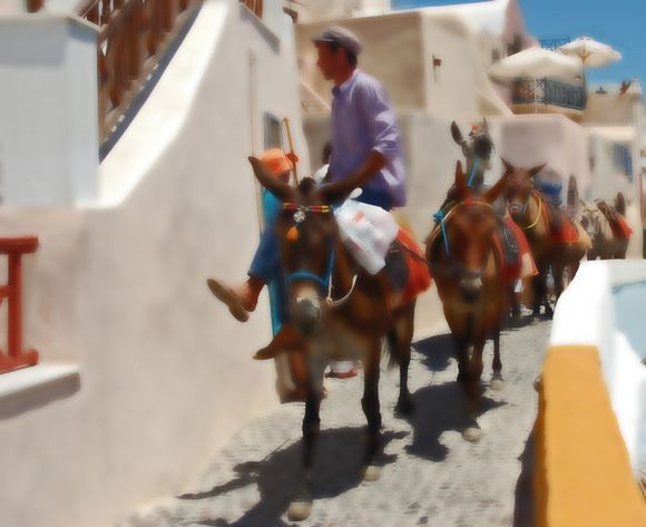 colorful donkey ride through the streets of Oia.