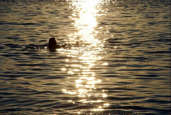 evening swimmer