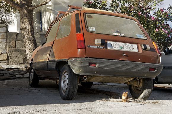Kitten vs. Renault 5