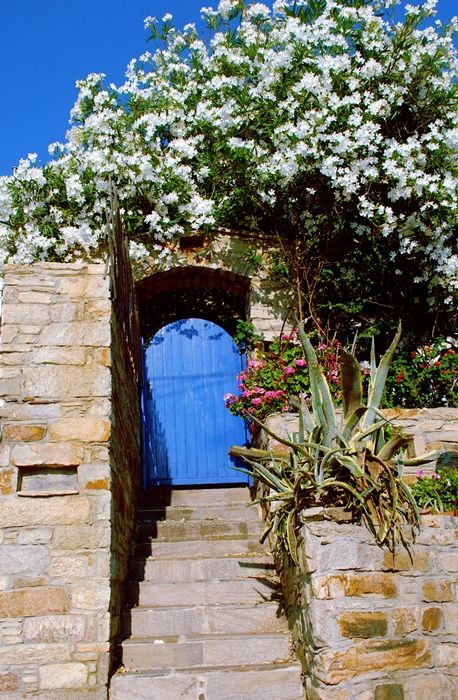 blue door surrounded by flowers