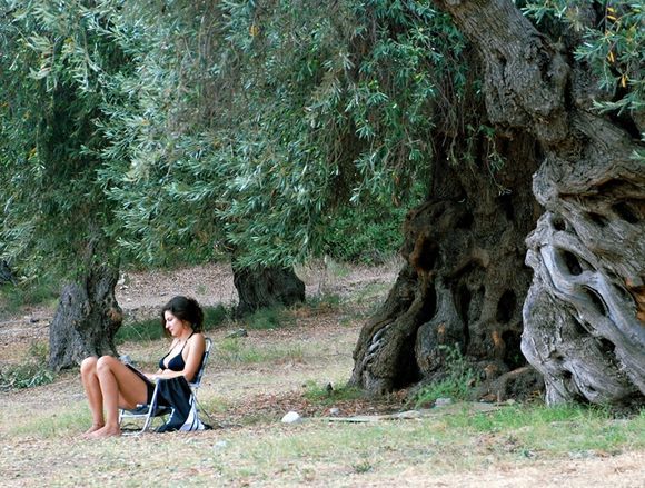 girl and olive trees