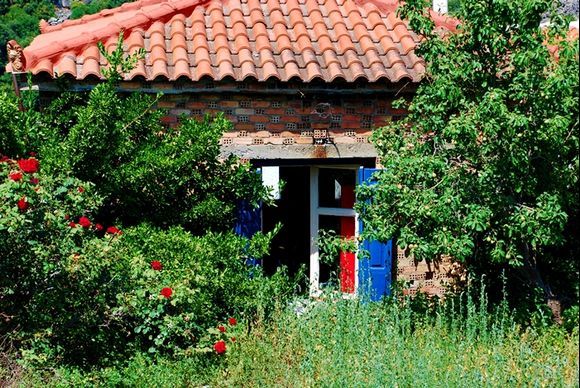 small house surrounded by flowers, Manolates village, Samos