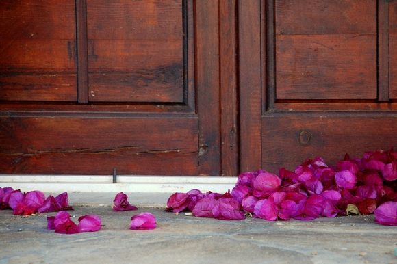 flowers in front of the door
