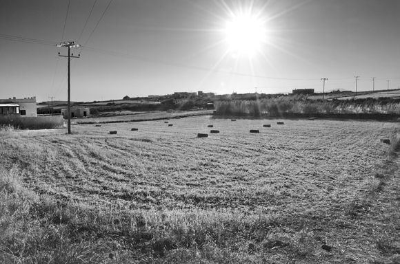 Sunrise in black and white