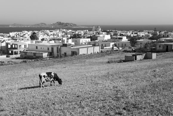 Naoussa in the morning