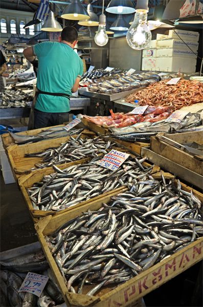 Light Bulbs at the Fish Market